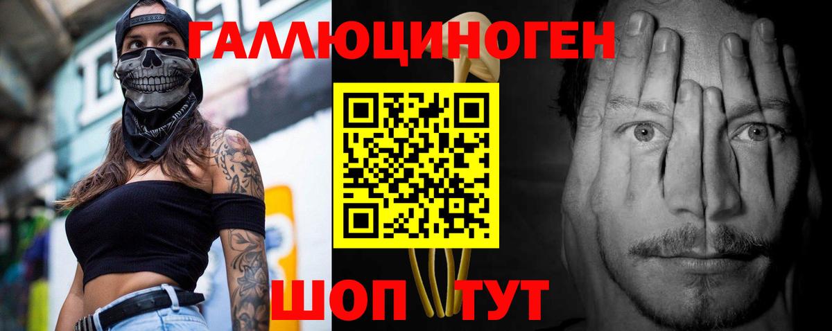 Братск  Псилоцибиновые грибы MAGIC MUSHROOMS  Вход с VPN  Псилоцибиновые грибы прущие грибы 